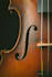 record and compose you great violin parts