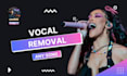 remove vocals from any song, make high quality instrumental