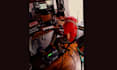 deliver a clean and powerful mix and master for your song