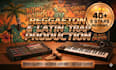 be your reggaeton, dembow and latin trap producer