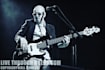 do really cool double and electric bass tracks for you