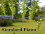 compose relaxing instrumental piano music