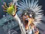 record your mad professor voice over for any application