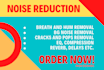 edit and remove background noise, clicks from your audio