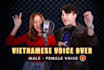 record a professional vietnamese voice over, voice talent
