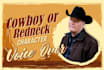 do a southern country redneck male voice over or song