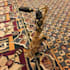 play saxophone and clarinet on your track