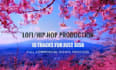 produce 1 to 30 lofi and chillhop music in bulk commercial use
