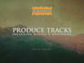 produce program and arrange your music