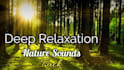 add nature sounds and  brainwaves to your guided meditations