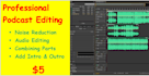 do audio editing, noise reduction, remove filler words