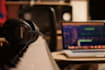 compose original music for your next project