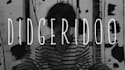 play and record didgeridoo and kalimba for you