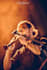 record world wind instruments for your project music or song