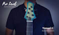 be your pro level session bass player