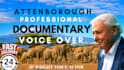 voice over a brilliant david attenborough celebrity impersonation