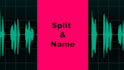 split audio files and name them manually