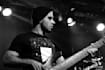 be your studio bassist or stickist