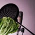 do spanish voice over on your project