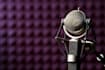 voice whatever you want