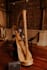 improvise and record on the harp