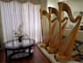 give harp lessons  to any levels and any ages
