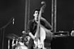 record a professional upright bass or double bass