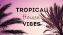 make chill dance tropical house track or remix of your song