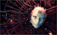 create a female robot ai voice