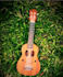 record professional ukulele instrumental for you