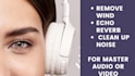 remove wind, echo reverb, clean up noise for  audio or video