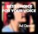 provide a professional voice over perfect for your needs