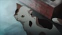 produce lofi for u