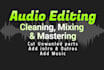 edit, convert and fix your audio or video sound within 24hrs