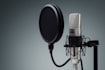 record professional bengali voice over in 24 hours