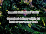 send 40 total binaural beat and monaural beat tracks with isochronic tones