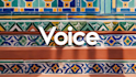 record native mexican spanish voiceover elearning and ads