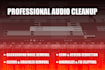 professionally cleanup your audio
