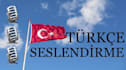 record a professional turkish male voice over