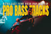 be the best bassist for recording metal, rock or jazz