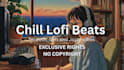 produce professionally sounding lo fi hip hop beats for you