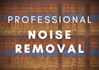 remove noise, edit, clean and process the vocal for you