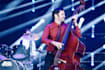 be your professional bass player