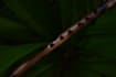 record professional indian bamboo flute tracks for your song