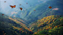 create HD and 4k meditation and relaxing music video