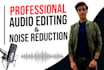 do professional audio editing and noise reduction