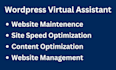 be your wordpress virtual assistant for website support and maintenance
