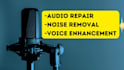 eliminate noise and enhance your audio