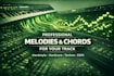 create melody and chords for your edm, techno, hardstyle track