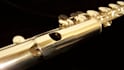 record bass flute for your project